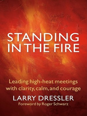 cover image of Standing in the Fire